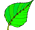 Green Initiatives