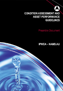 Condition Assessment & Asset Performance Guidelines - Preamble Document