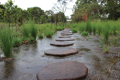 stormwater management Brisbane IPWEA
