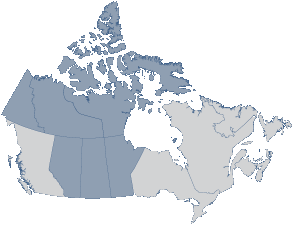 Active SNAME Arctic Section Regions