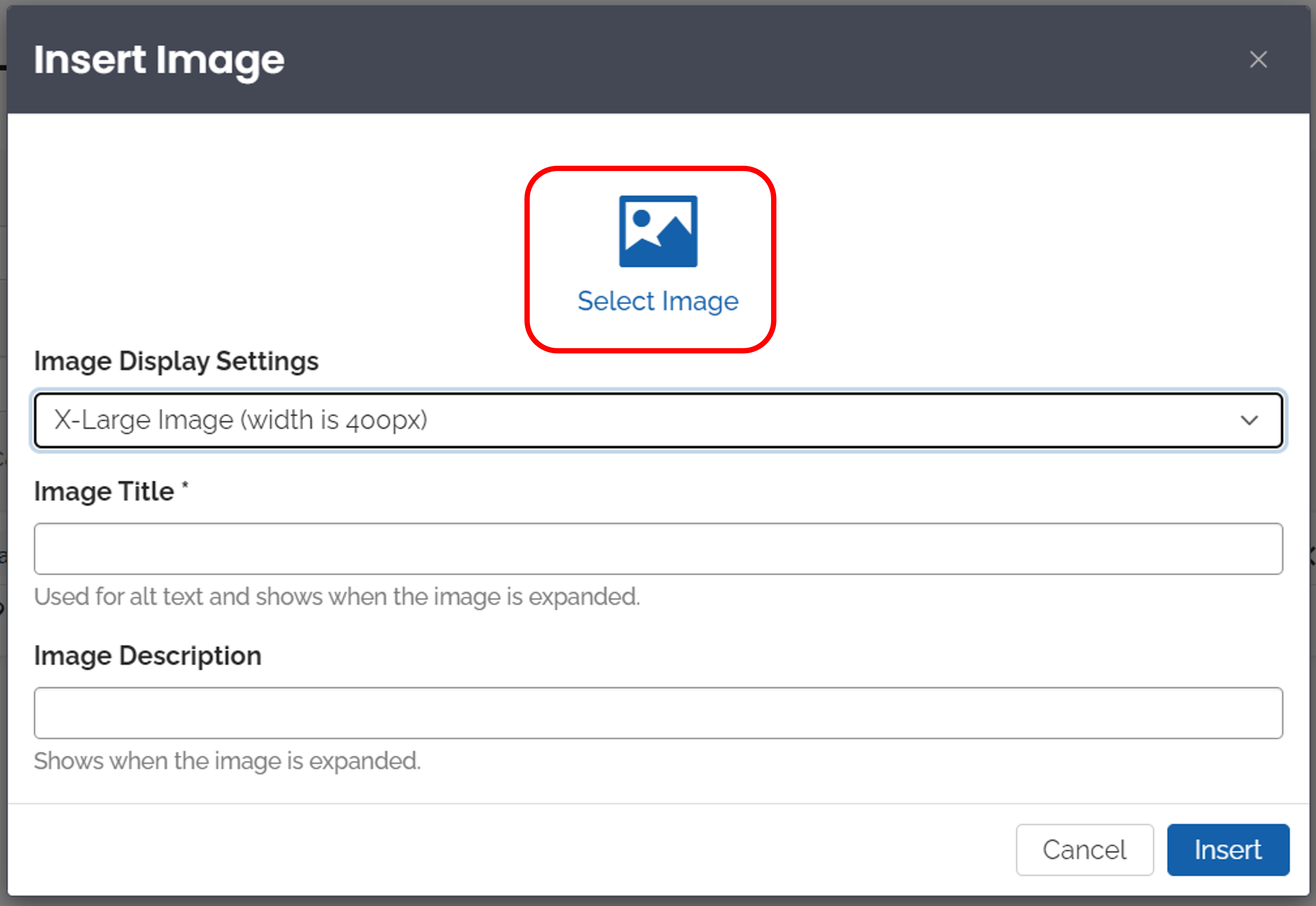 Artery - Insert Image