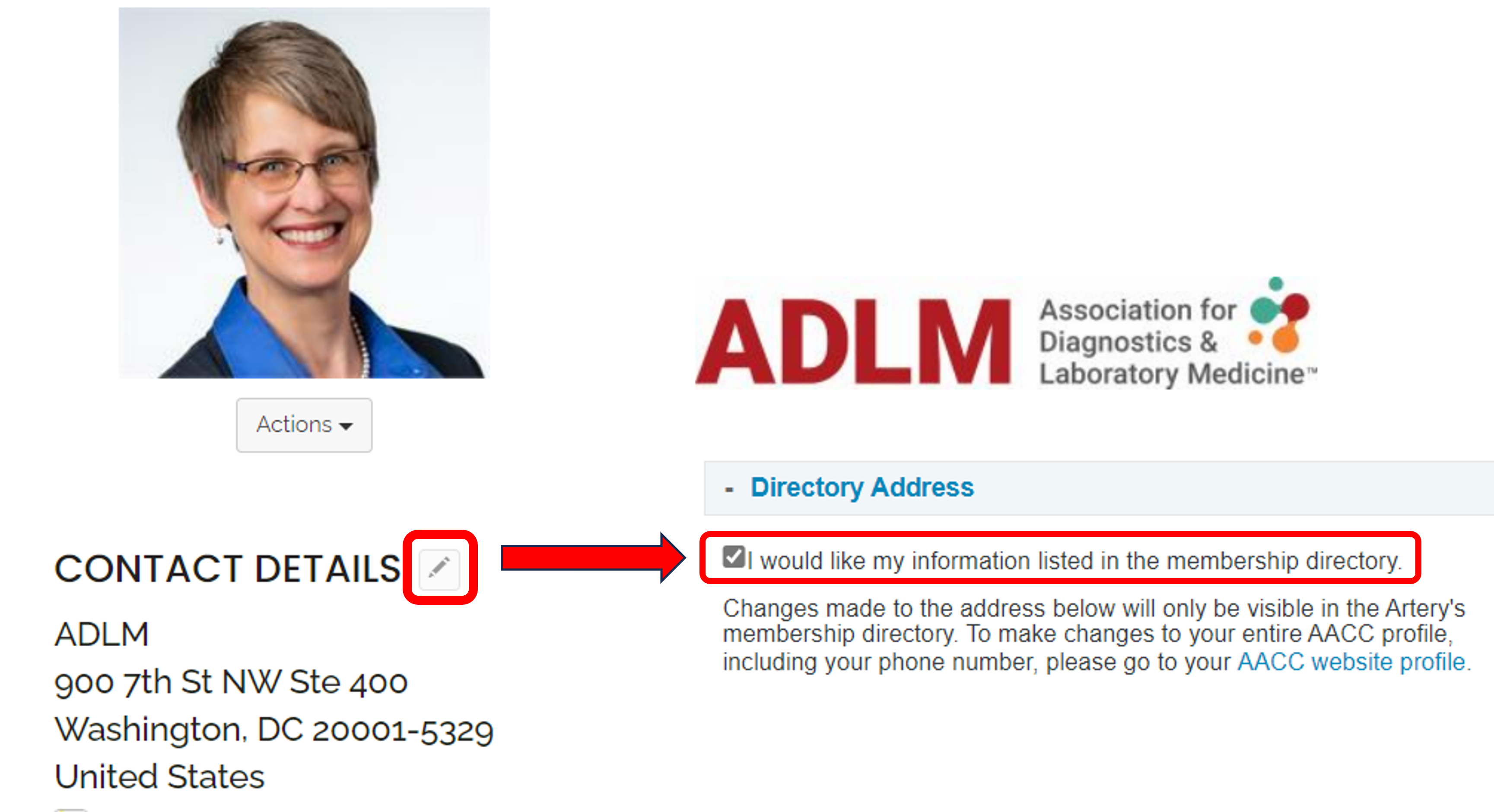 Artery - Member Directory Options