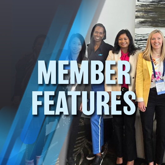 Source AACE - Member Features