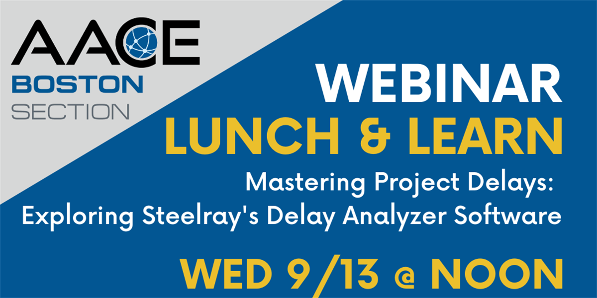 Mastering Project Delays: Exploring Steelray Delay Analyzer Software ...