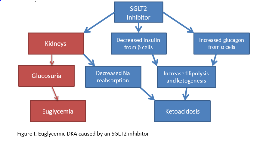 Figure 1. Euglycemic DKA caused by a SGLT2 Inhibitor