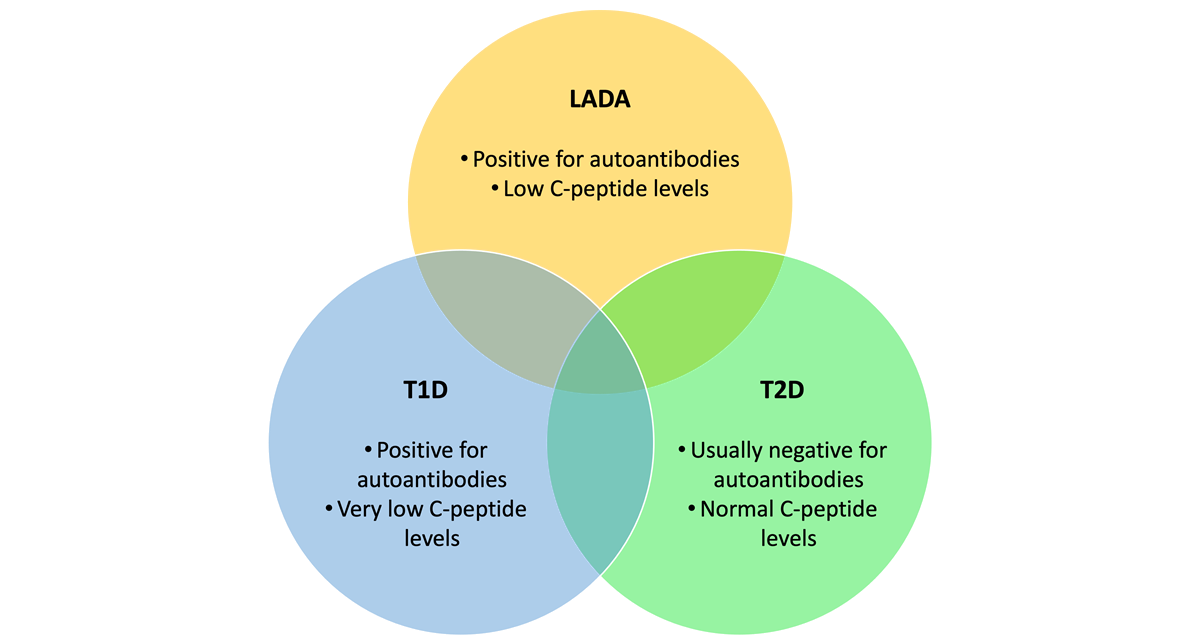 Management of Latent Autoimmune Diabetes in Adults