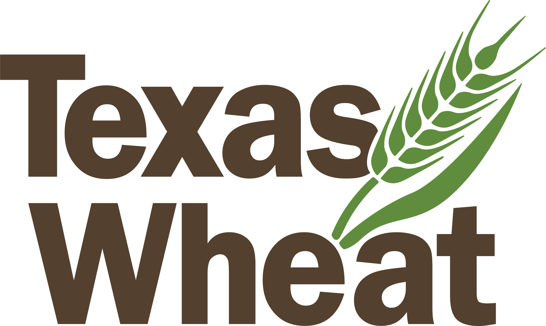 Texas Wheat