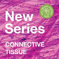 Connective Tissue Book Series