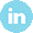 BWS_Linkedin Logo