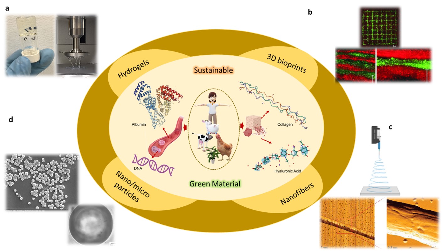 Sustainable Green Biomaterials in Biomimetic Drug Delivery - AAPS 