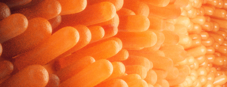 Dec18 Cover Article Top dec18-coverarticle-top