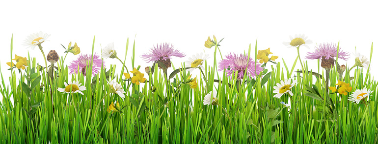 Mar18 Spring Workshops mar18-workshops.jpg