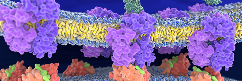 Mar18 Meetings Peptide Mar18-meetings-peptide