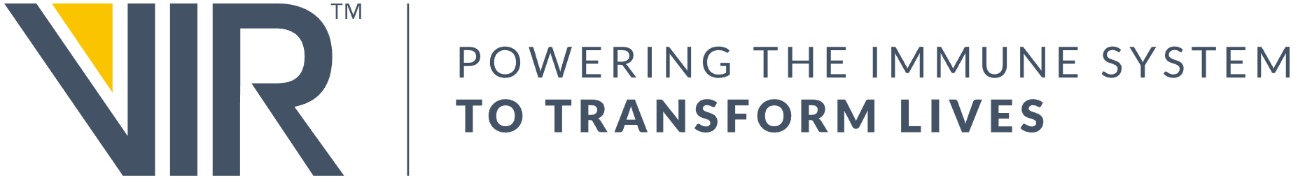 A close up of a logo  Description automatically generated