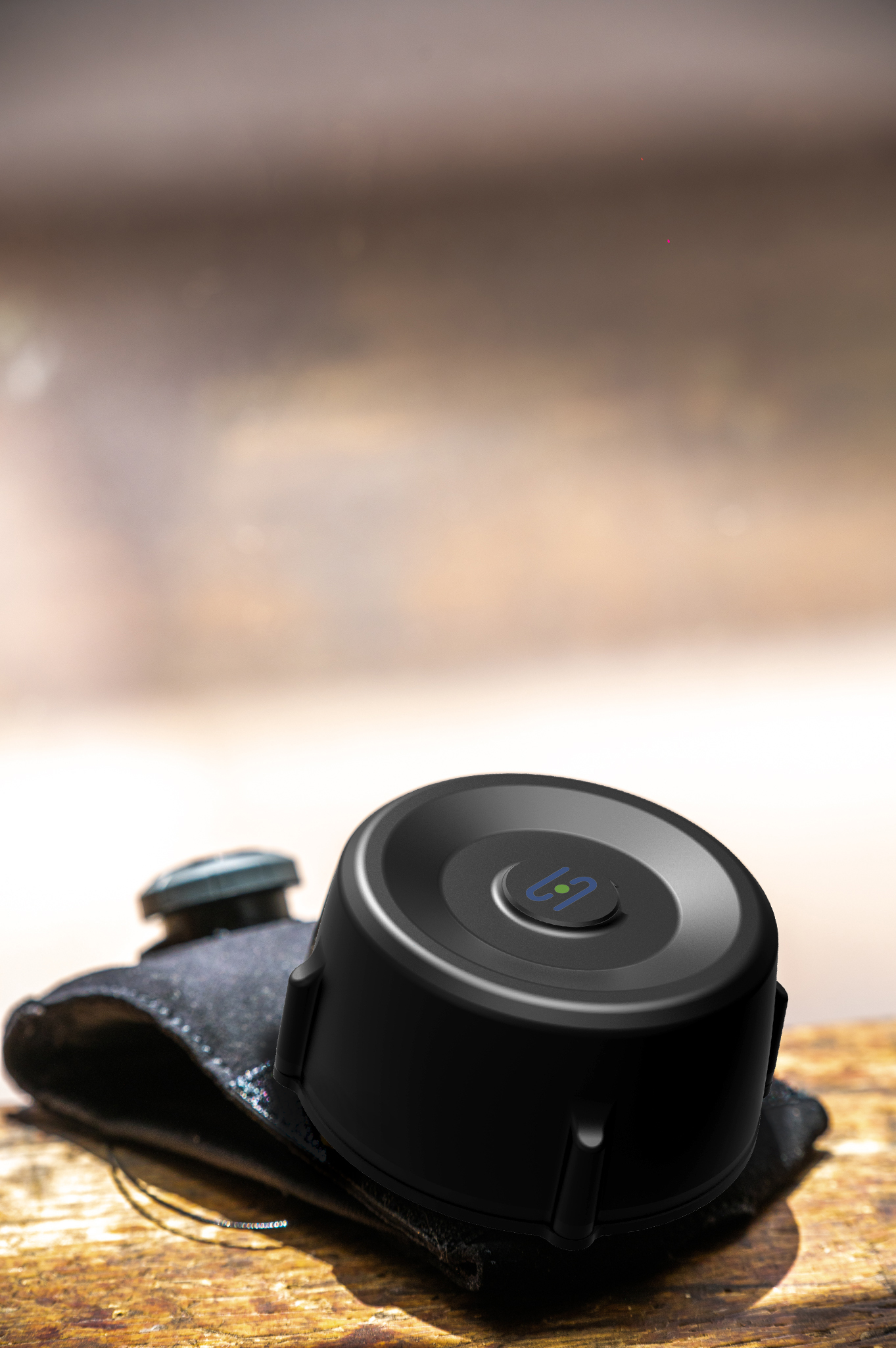 Steadi-Two Plus Product