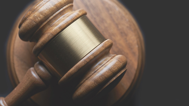 Legal & Law downloads