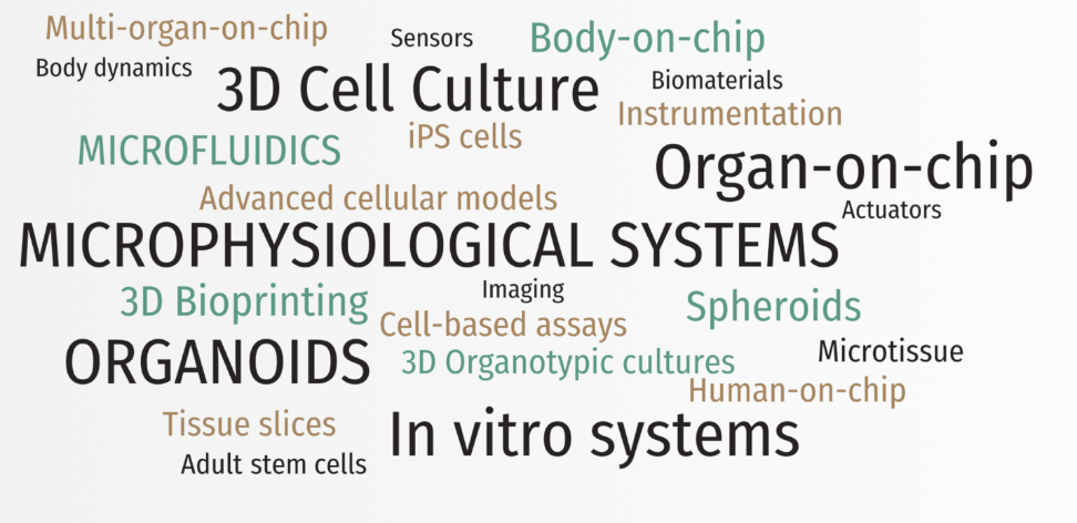 A close-up of words Description automatically generated