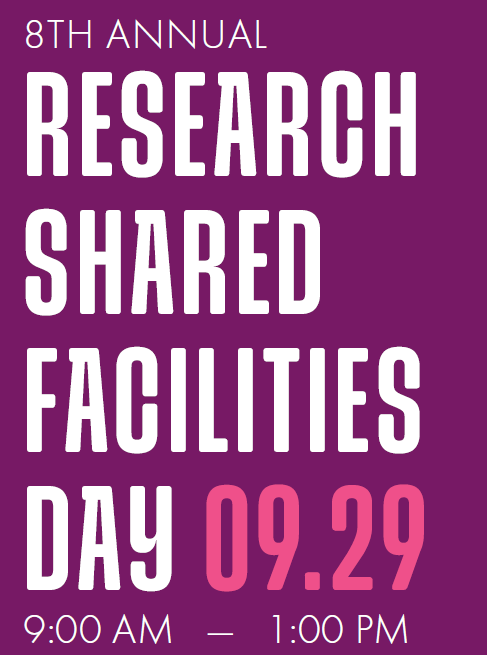 A purple background with white text  Description automatically generated