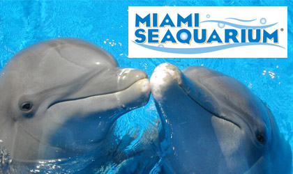 adlogo_miamiseaquarium.jpg
