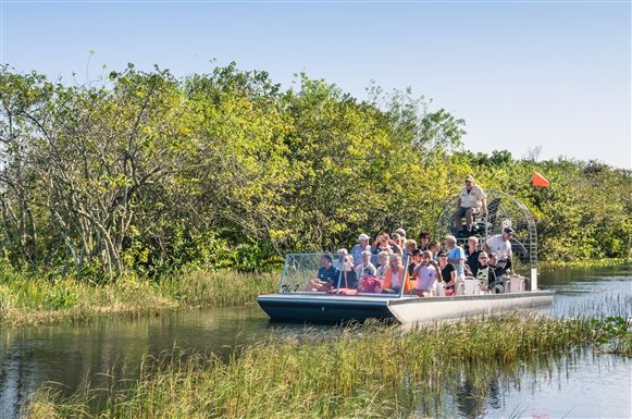 everglades.jpg