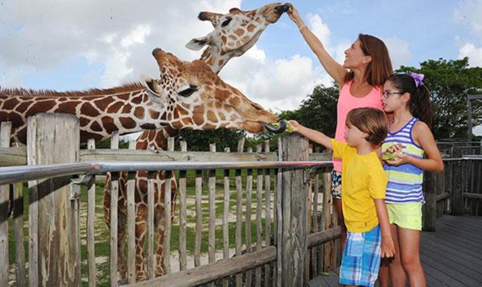 zoo_miami.jpg