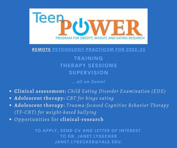 Remote clinical psychology practicum 