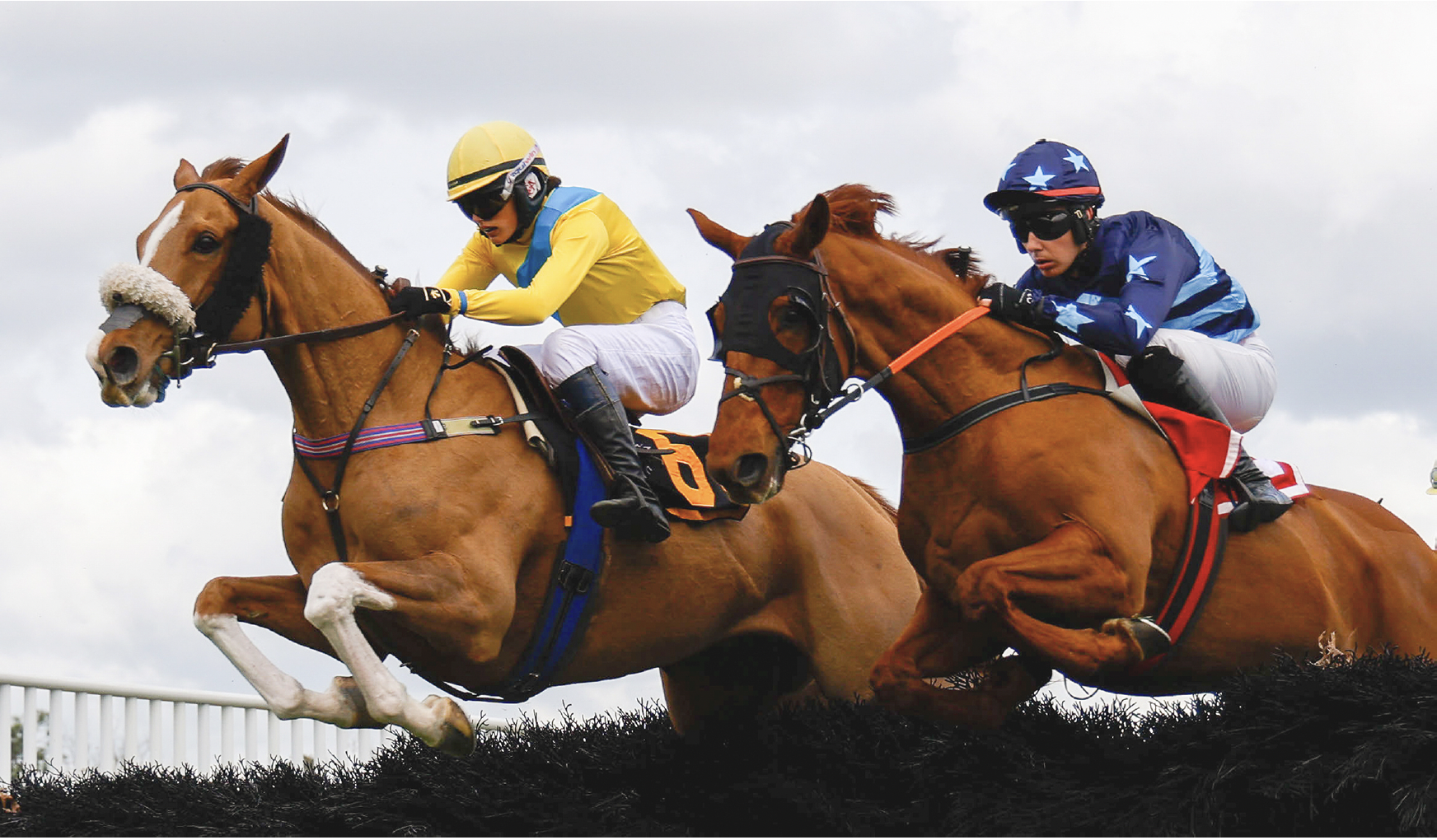 Two jockeys atop horses leap over hedges in a horse race.