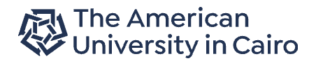 The-American-University-in-Cairo