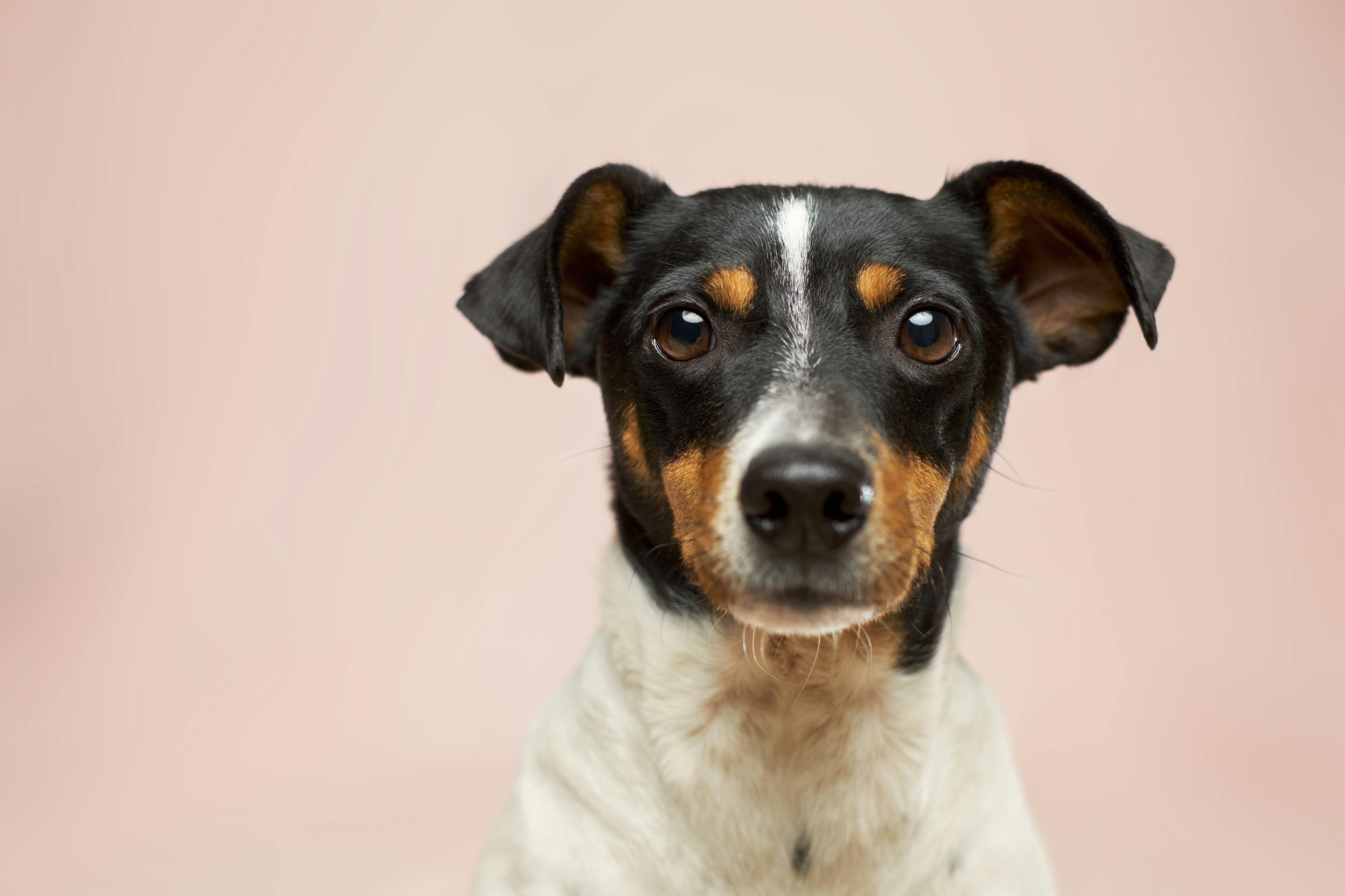 File