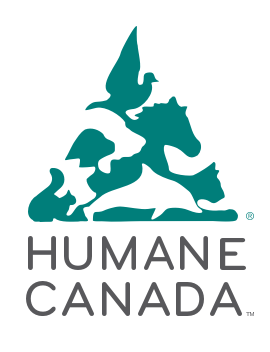 hc-nav-logo.png
