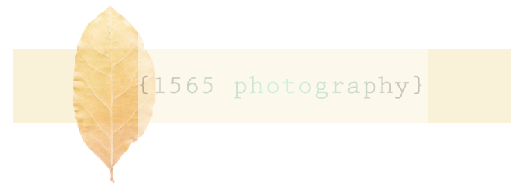 1565_Photography_Logo.png