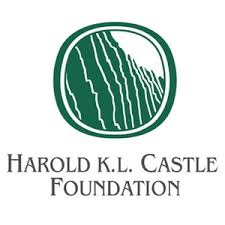 Castle_Fnd_logo.jpg