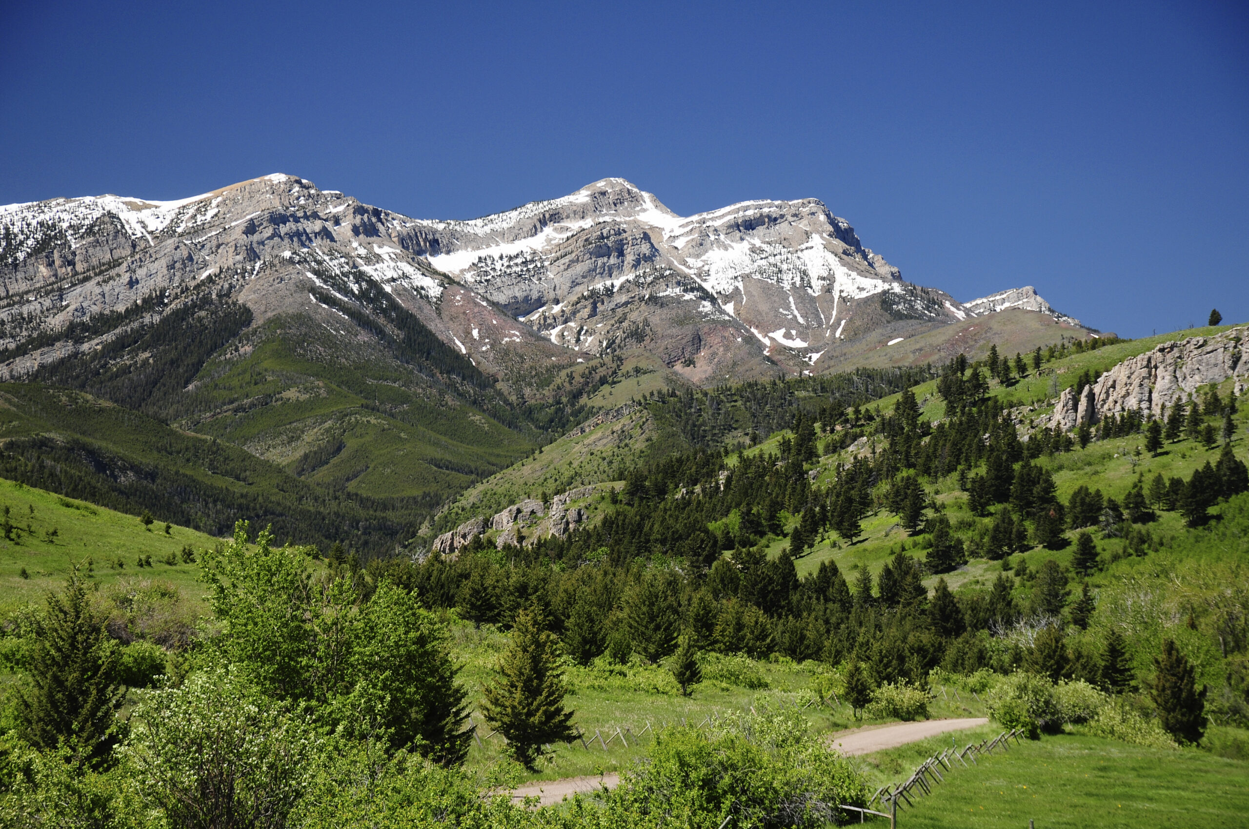 Montana