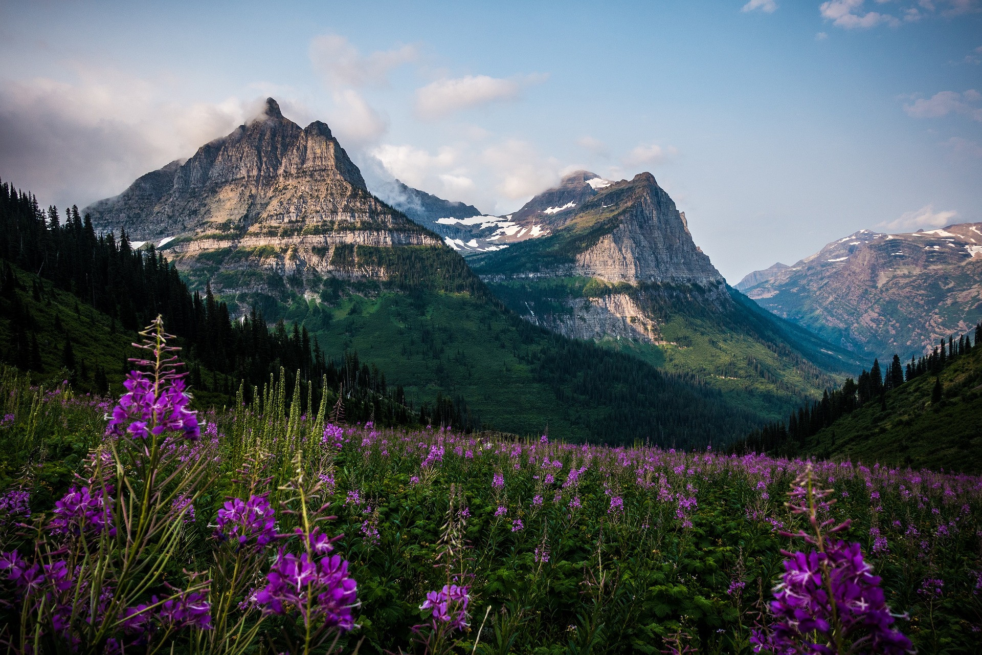 Montana