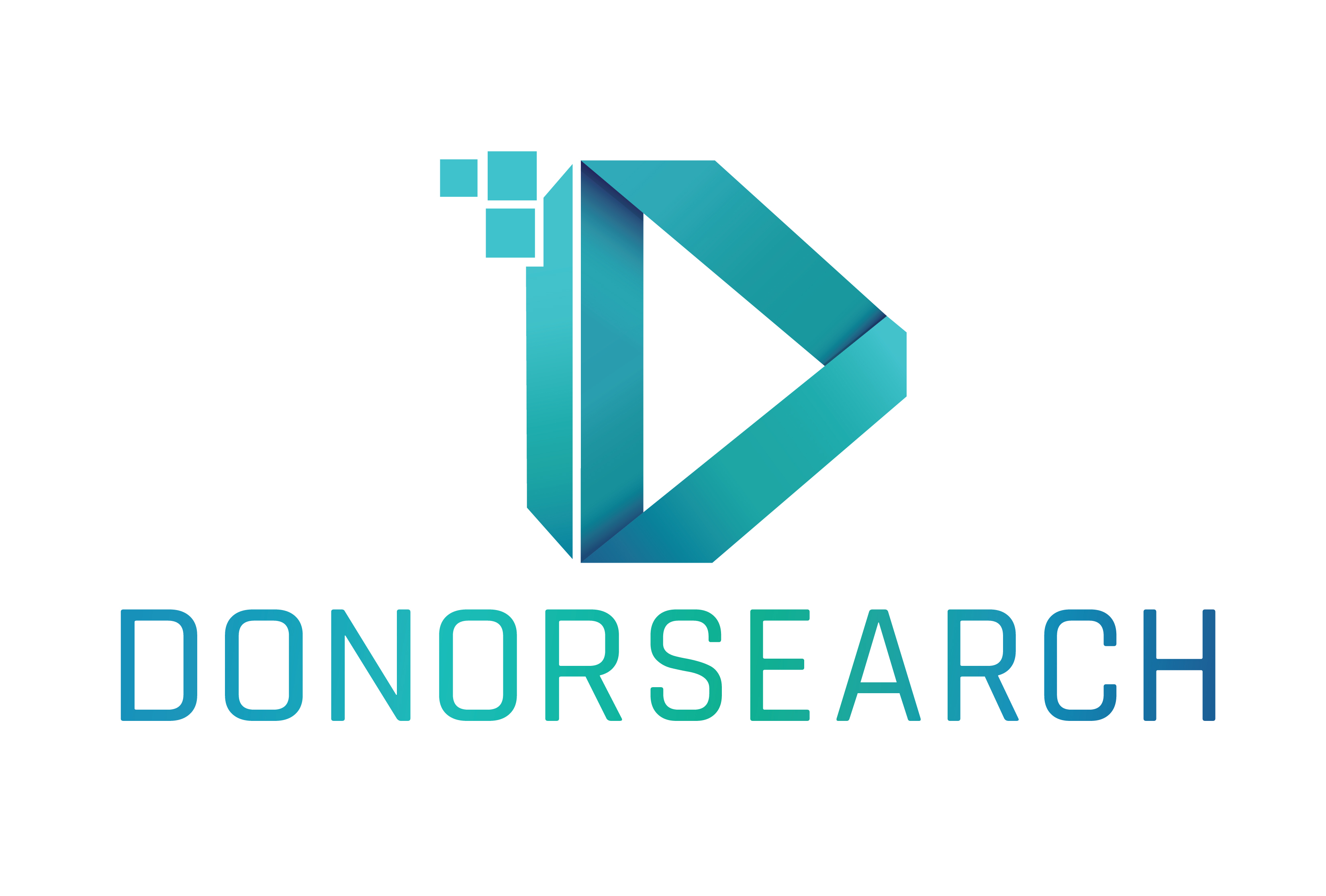 DonorSearch_Logo_Master_largeblue19-01.jpg