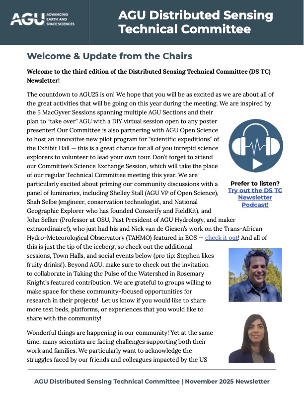 Screenshot of first page of newsletter