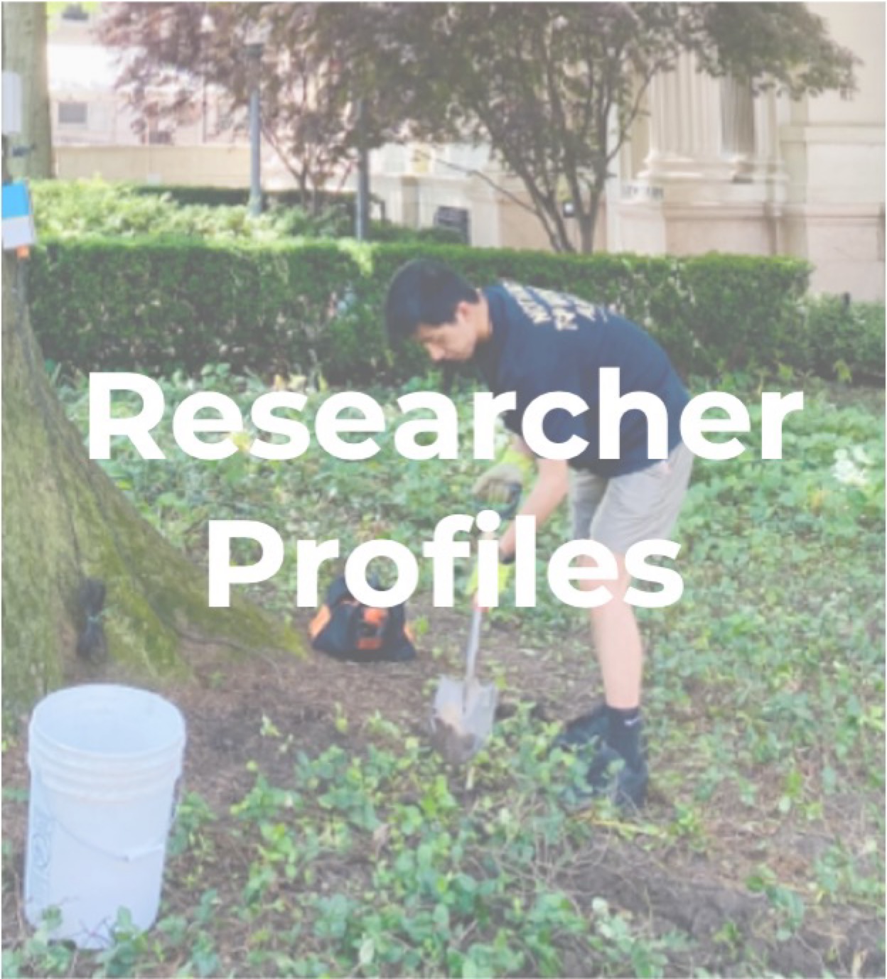 Researcher Profiles