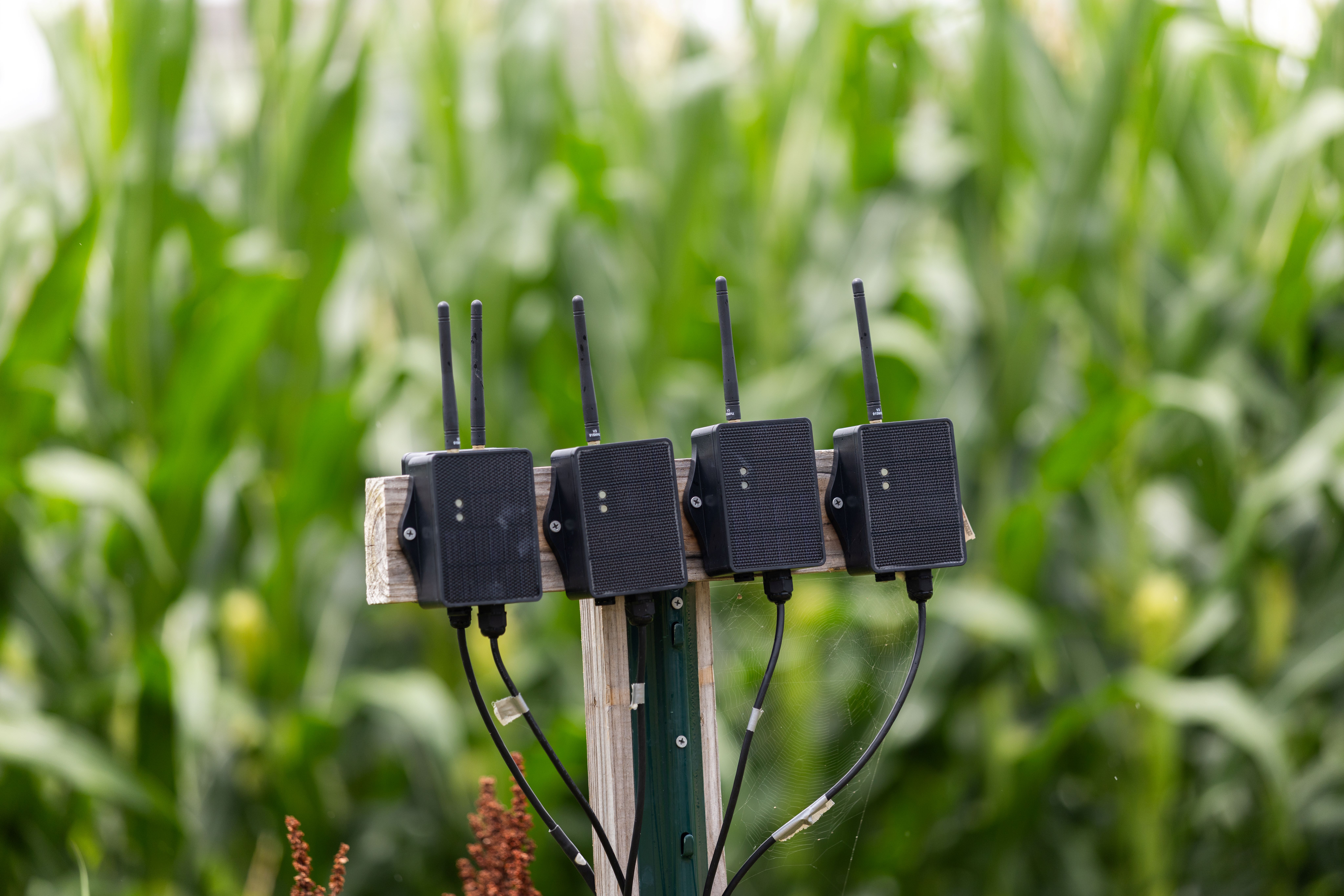 Close up photo LoRaWAN sensors