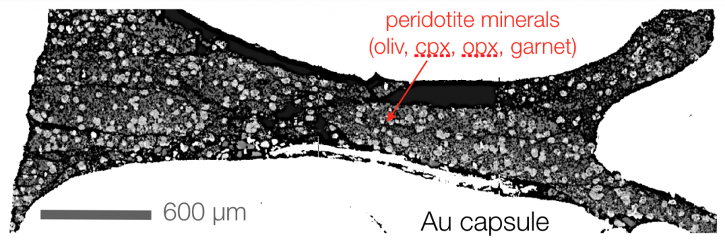 A backscatter electron image of an example piston cylinder experiment (from Till et al., 2012). This experiment was held at 4 GPa for a week, where it grew peridotite minerals from a synthetic oxide mixture of a primitive mantle composition. The white area in the picture is the gold capsule material. A backscatter electron image of an example piston cylinder experiment (from Till et al., 2012). This experiment was held at 4 GPa for a week, where it grew peridotite minerals from a synthetic oxide mixture of a primitive mantle composition. The white area in the picture is the gold capsule material.