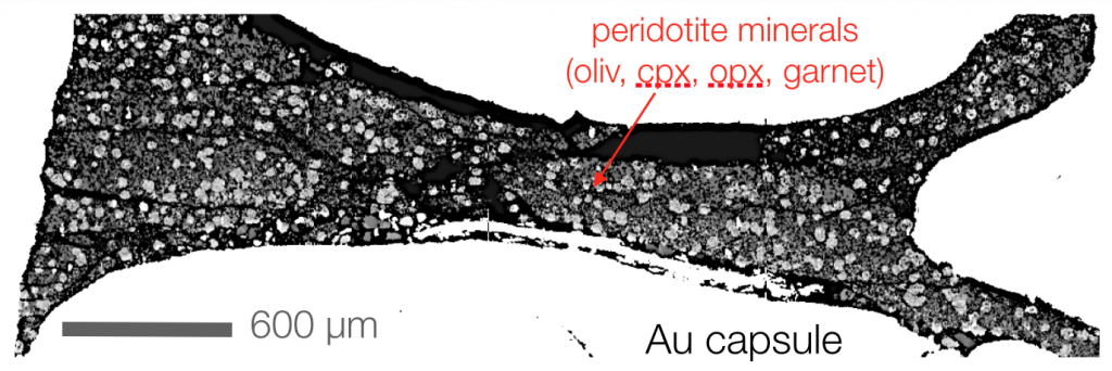 A backscatter electron image of an example piston cylinder experiment (from Till et al., 2012). This experiment was held at 4 GPa for a week, where it grew peridotite minerals from a synthetic oxide mixture of a primitive mantle composition. The white area in the picture is the gold capsule material.