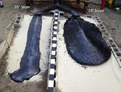 Effect of slope on flow morphology. Thin, narrow leveed flow on 20° slope (left); thick, broad flow on 10° slope (right). Both flows at 1150°C and constant pouring rate. 10 cm scale bar.