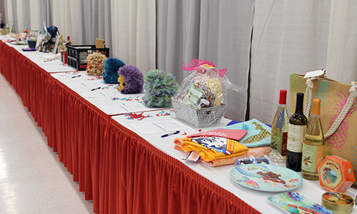 items on the 2018 AHEAD Silent Auction Table