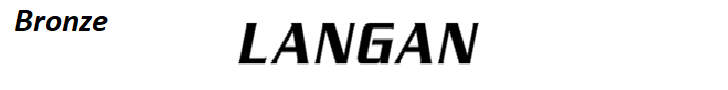 Learn more about Langan >