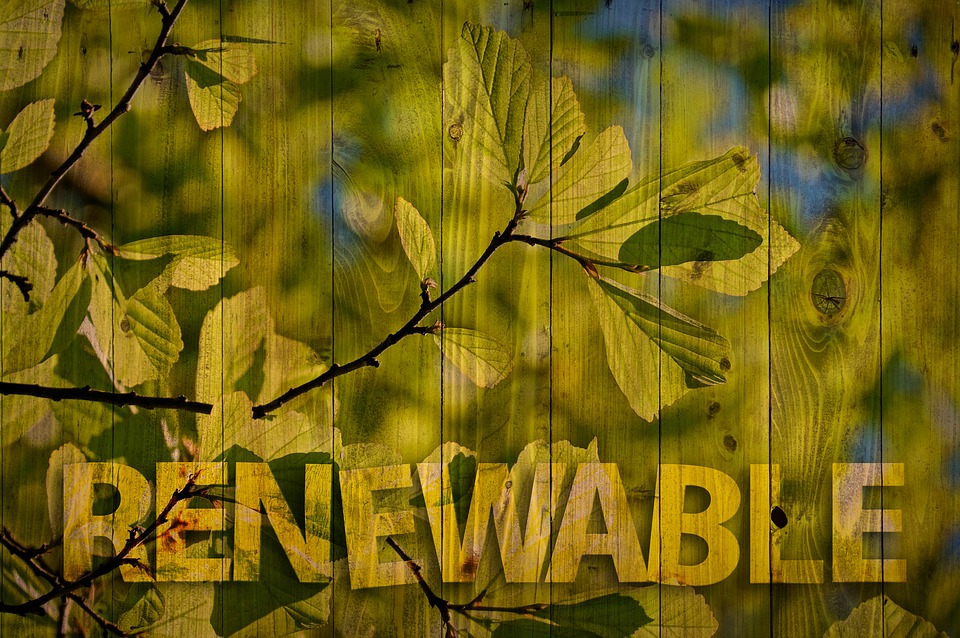 renewable-3417763_960_720.jpg