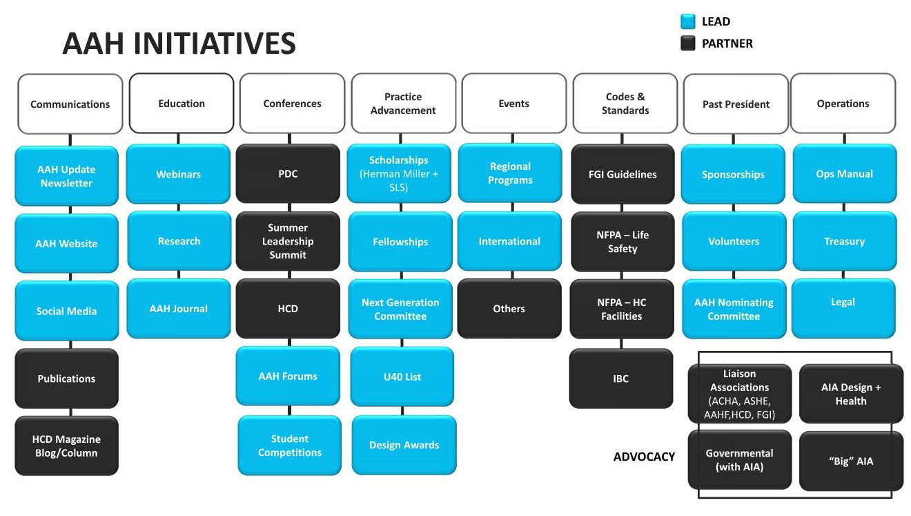 AAH%20initatives.jpg