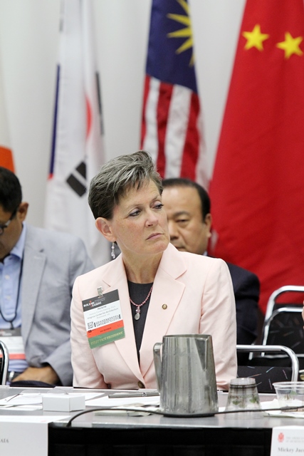 Helene Combs Dreiling, FAIA, AIA President-elect