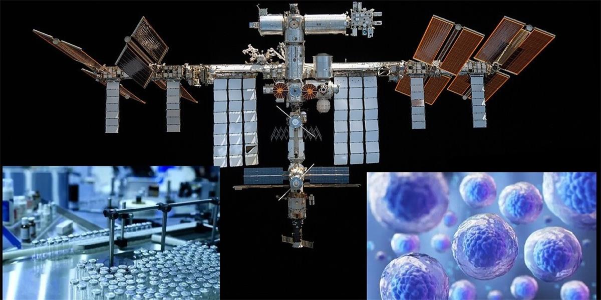 Image of (2025 November 17) (On-line Webinar) Stem cell research and biomanufacturing in space