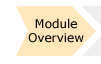 Module Overview