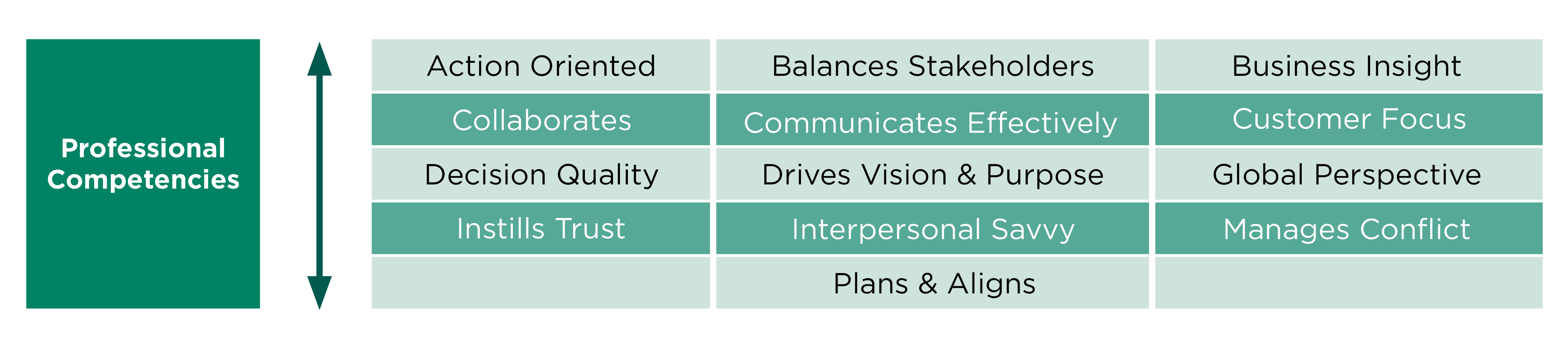Professional-Competencies-middle-third.png
