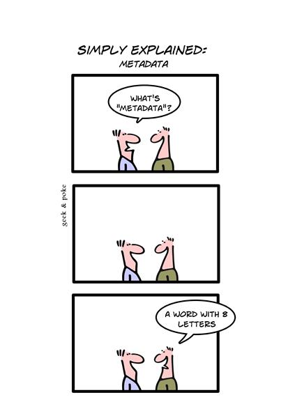 what's metadata? comic sourced from geek-and-poke.com